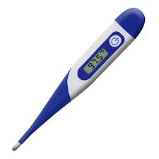 download (2).jpeg