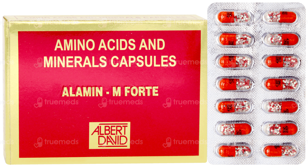 ALAMIN M FORTE