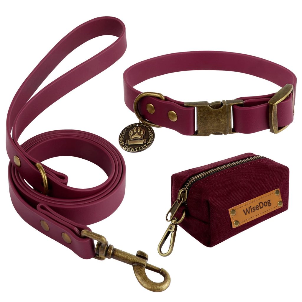 DIGITAL COLLAR LEASH SET ASSOR 1